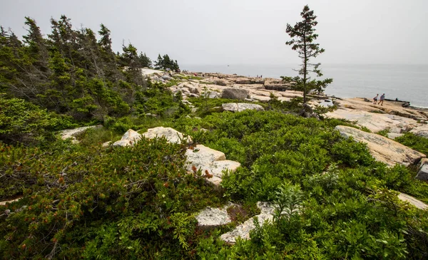 Blick Auf Den Acadia National Park Maine — Stockfoto