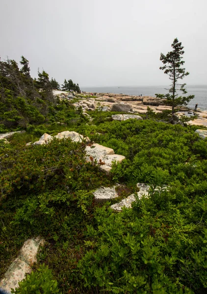 Blick Auf Den Acadia National Park Maine — Stockfoto