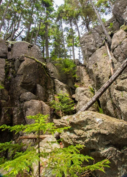 Vistas Del Parque Nacional Acadia Maine — Foto de Stock