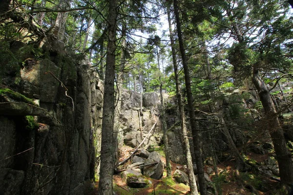 Vue Sur Parc National Acadia Maine — Photo