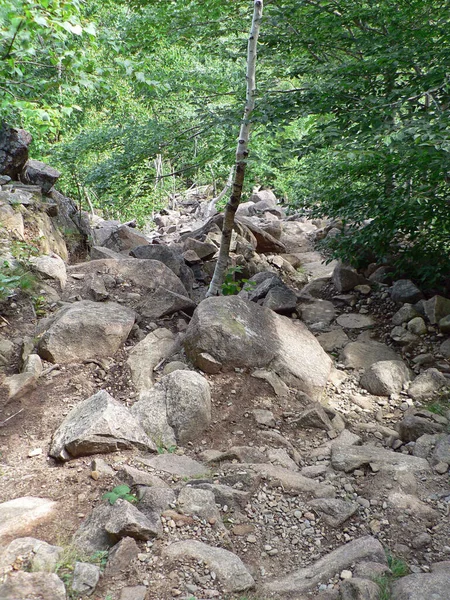 Acadia Ulusal Parkı Maine — Stok fotoğraf