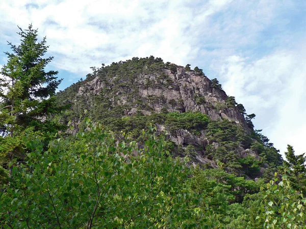 Vue Sur Parc National Acadia Maine — Photo