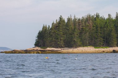 Fransız Körfezi, Maine