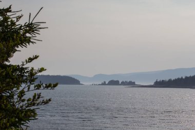 Fransız Körfezi, Maine