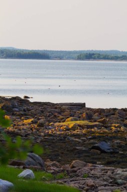 Fransız Körfezi, Maine