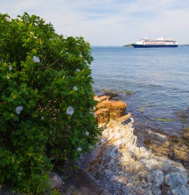 Fransız Körfezi, Maine