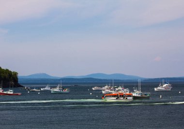 Fransız Körfezi, Maine