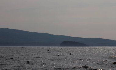 Fransız Körfezi, Maine