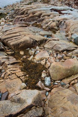 Manzaralar Gouldsboro Körfezi, Maine