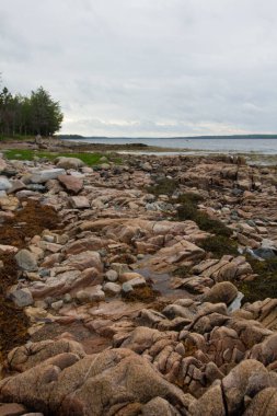 Manzaralar Gouldsboro Körfezi, Maine