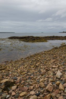 Manzaralar Gouldsboro Körfezi, Maine