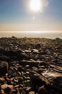 Manzaralar Gouldsboro Körfezi, Maine