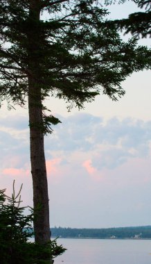 Manzaralar Gouldsboro Körfezi, Maine