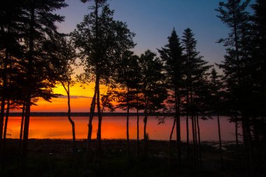Manzaralar Gouldsboro Körfezi, Maine
