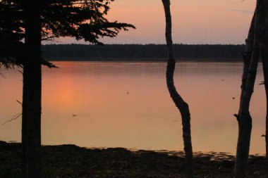 Manzaralar Gouldsboro Körfezi, Maine