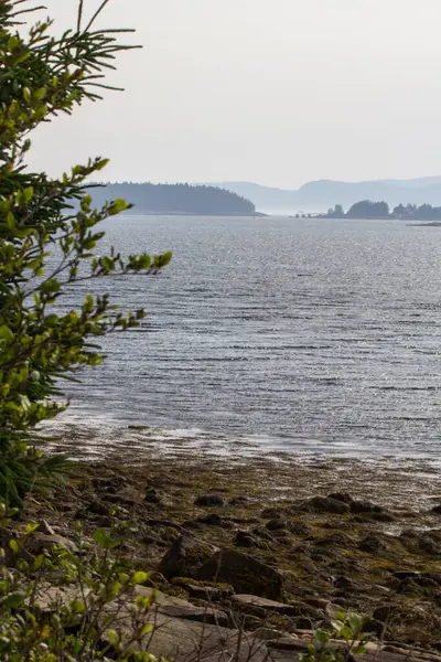 Widok Zatokę Francuską Maine — Zdjęcie stockowe