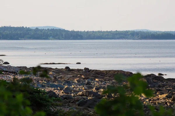 Widok Zatokę Francuską Maine — Zdjęcie stockowe