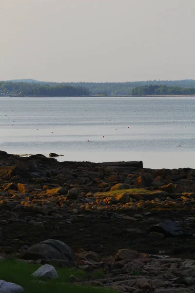 Utsikt Över Franska Bukten Maine — Stockfoto