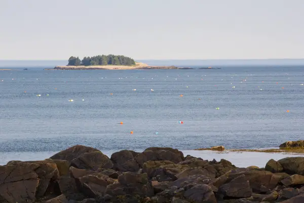 Utsikt Över Franska Bukten Maine — Stockfoto