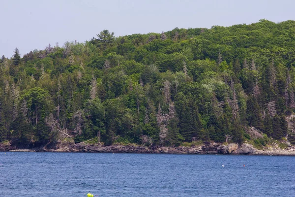 Uitzicht Franstalige Baai Maine — Stockfoto