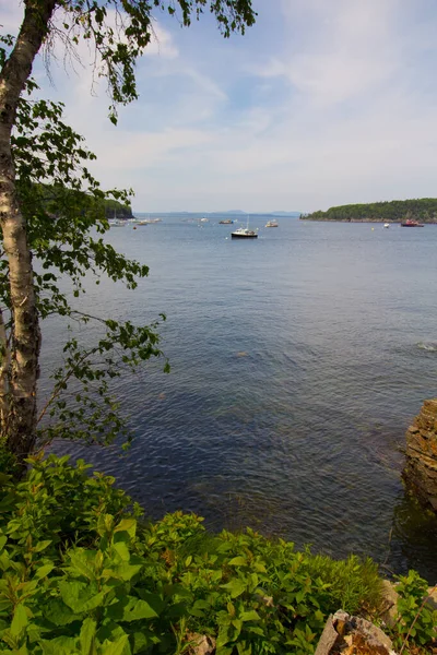 Ansichten Der Frenchman Bay Maine — Stockfoto