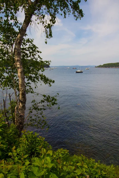 Uitzicht Franstalige Baai Maine — Stockfoto