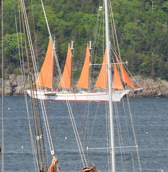 Ansichten Der Frenchman Bay Maine — Stockfoto