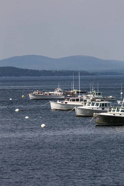 Vistas Frenchman Bay Maine —  Fotos de Stock