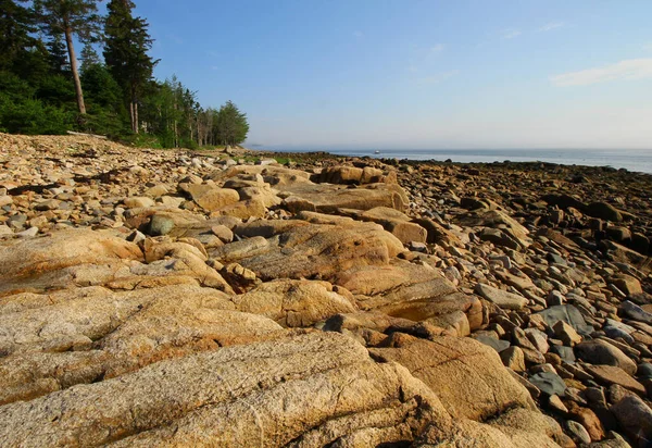 Kilátás Gouldsboro Bay Maine — Stock Fotó