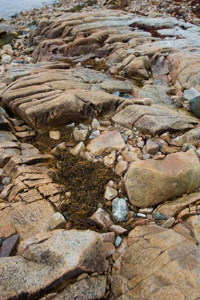 缅因州Gouldsboro湾的风景 — 图库照片