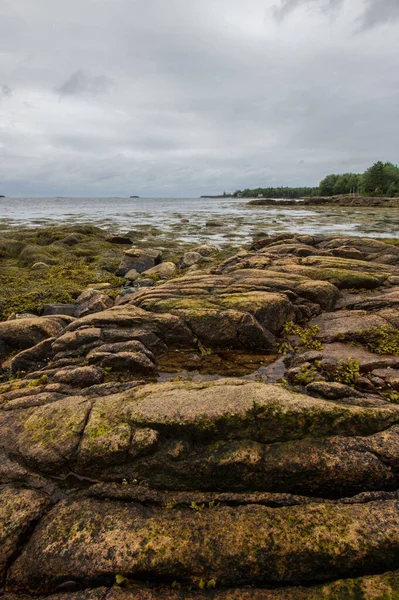 Θέα Στο Gouldsboro Bay Maine — Φωτογραφία Αρχείου