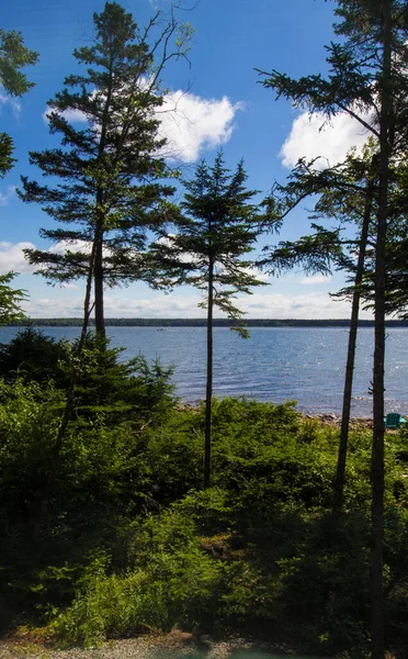 Uitzicht Gouldsboro Bay Maine — Stockfoto