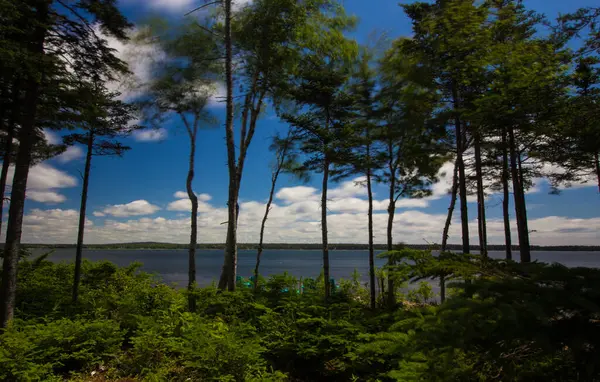 Vedute Sulla Baia Gouldsboro Maine — Foto Stock