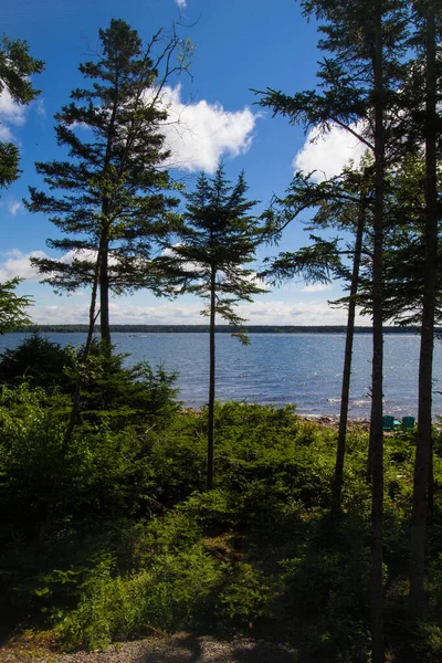 Widok Zatokę Gouldsboro Maine — Zdjęcie stockowe