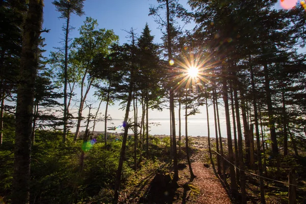 Views Gouldsboro Bay Maine — стоковое фото