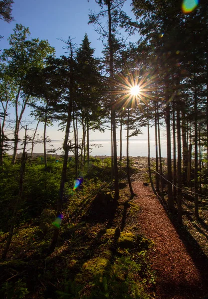 Views Gouldsboro Bay Maine — стоковое фото