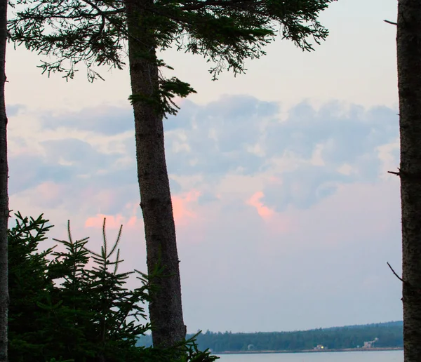 Manzaralar Gouldsboro Körfezi Maine — Stok fotoğraf