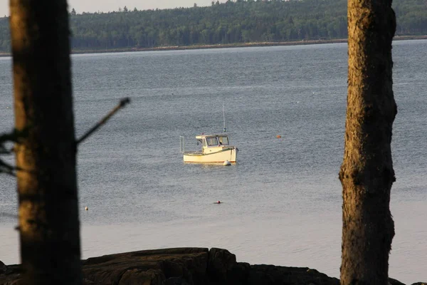 Widok Zatokę Gouldsboro Maine — Zdjęcie stockowe