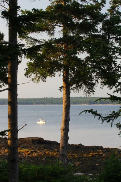 Uitzicht Gouldsboro Bay Maine — Stockfoto