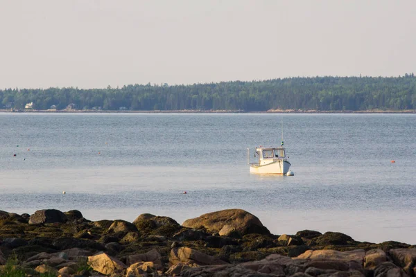 Pohledy Gouldsboro Bay Maine — Stock fotografie