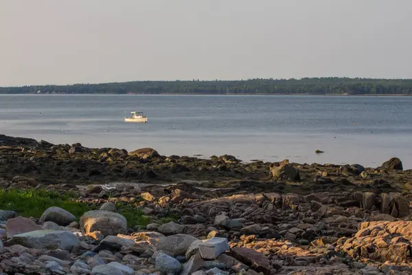 Manzaralar Gouldsboro Körfezi Maine — Stok fotoğraf
