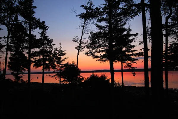 Views Gouldsboro Bay Maine — стоковое фото