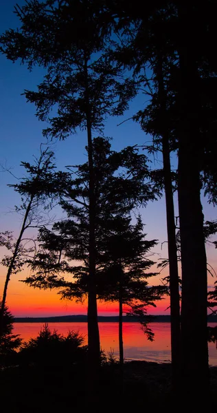 Vedute Sulla Baia Gouldsboro Maine — Foto Stock