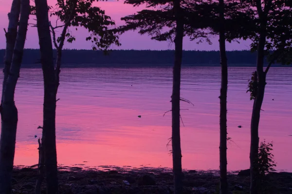 Vistas Gouldsboro Bay Maine — Fotografia de Stock