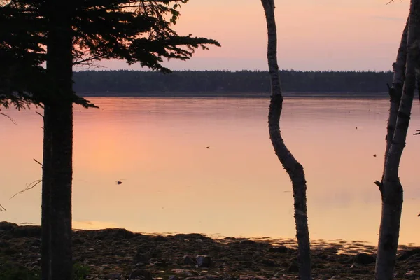 Views Gouldsboro Bay Maine — Stock Photo, Image