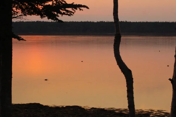 Views Gouldsboro Bay Maine — стоковое фото