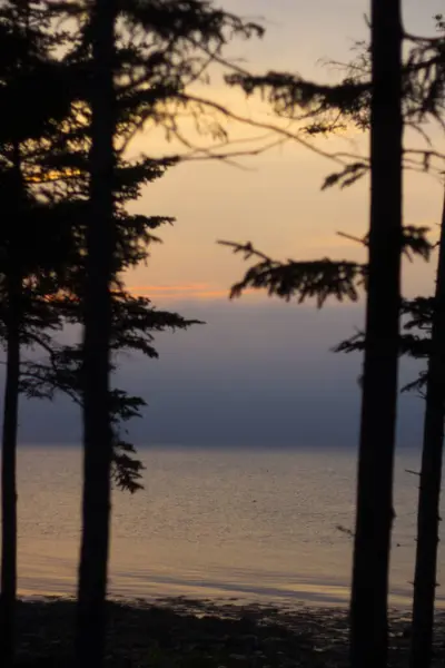 Θέα Στο Gouldsboro Bay Maine — Φωτογραφία Αρχείου