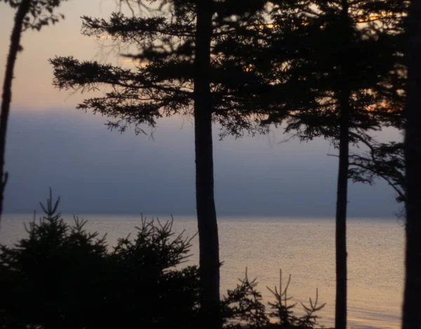 Θέα Στο Gouldsboro Bay Maine — Φωτογραφία Αρχείου