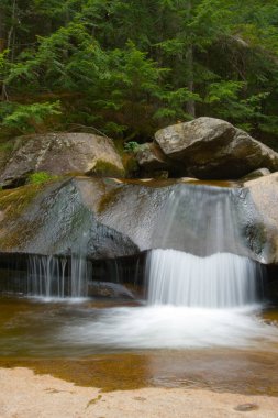 Grafton Notch Eyalet Parkı, Maine