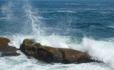 Pemaquid Point, Maine 'de Görüntüler